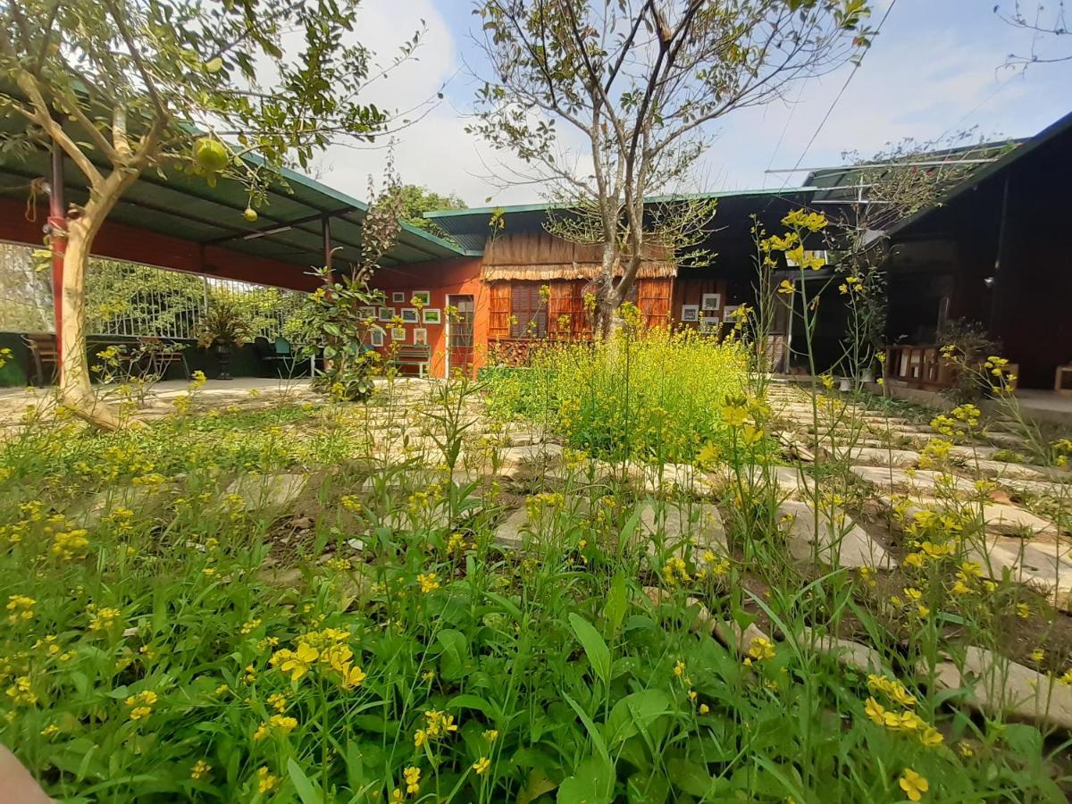 Homestay Lan Rung Nghia Lo Экстерьер фото